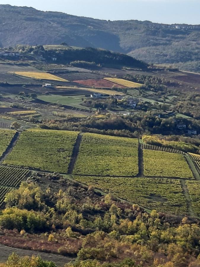 Guesthouse Villa Marija Motovun Dış mekan fotoğraf