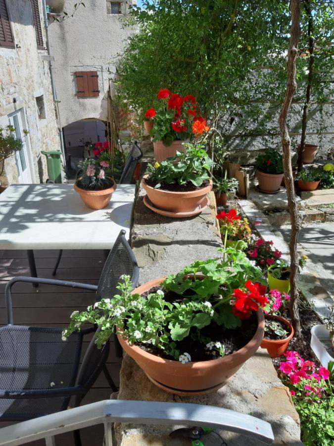 Guesthouse Villa Marija Motovun Dış mekan fotoğraf