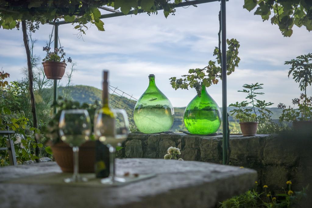 Guesthouse Villa Marija Motovun Dış mekan fotoğraf