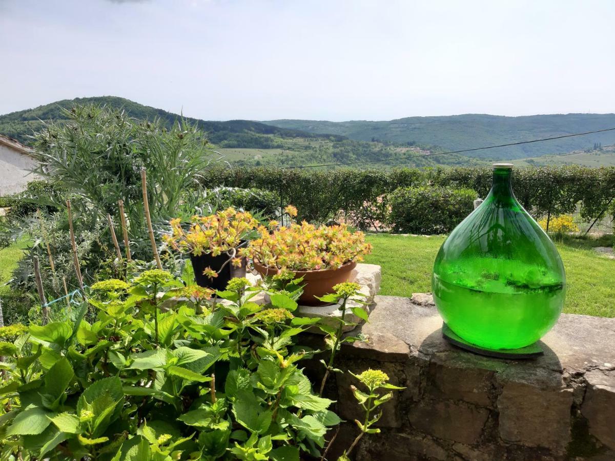 Guesthouse Villa Marija Motovun Dış mekan fotoğraf